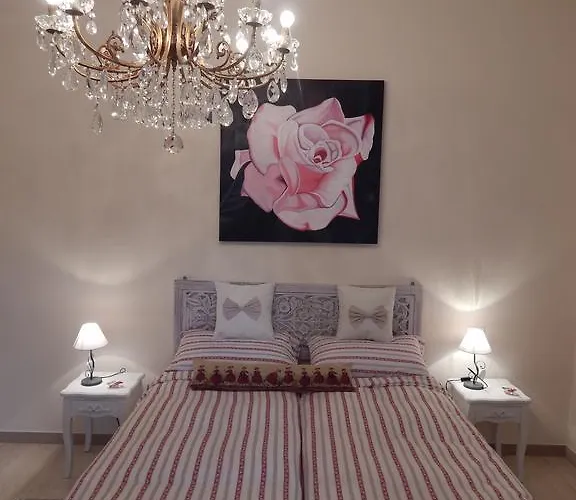 招待所 罗马市中心爱非特梅尔旅馆，梵蒂冈博物馆 *