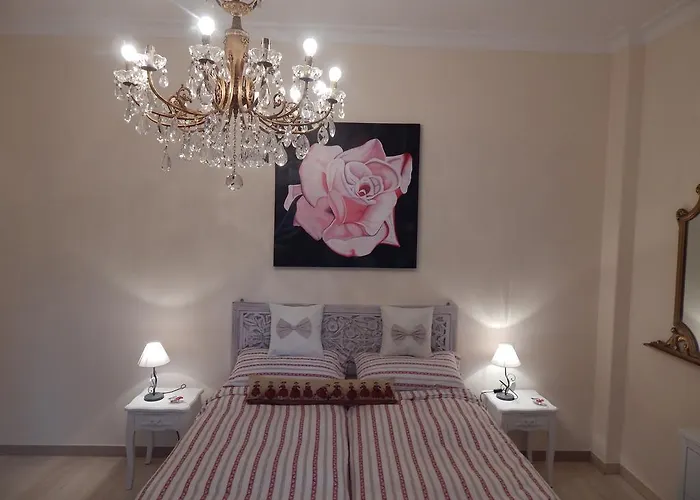 招待所 罗马市中心爱非特梅尔旅馆，梵蒂冈博物馆 罗马